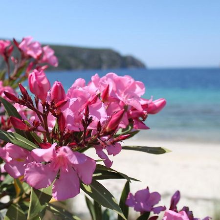 Akrotiri Summer Apartments ペフコホリ エクステリア 写真