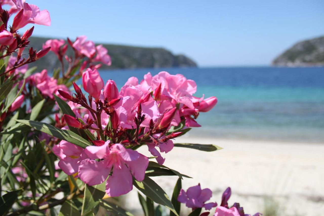 Akrotiri Summer Apartments ペフコホリ エクステリア 写真